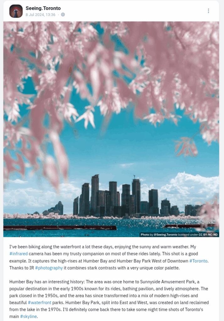 Screenshot of a post published on seeing.toronto with text underneath.