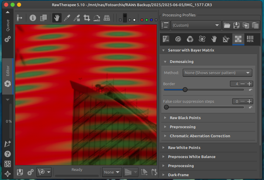 Screenshot of RawTherapee with a picture at 100% and deactivated demosaicing.