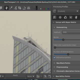 screenshot of rawtherapee showing an image at 100% and demosaicing controls