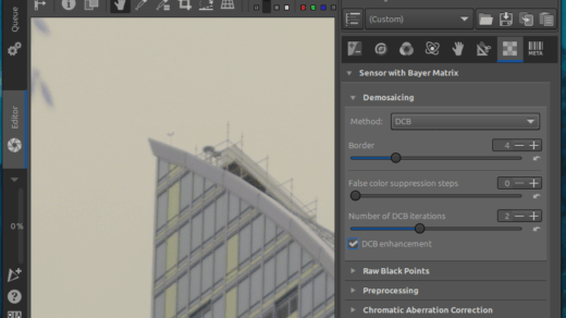 screenshot of rawtherapee showing an image at 100% and demosaicing controls