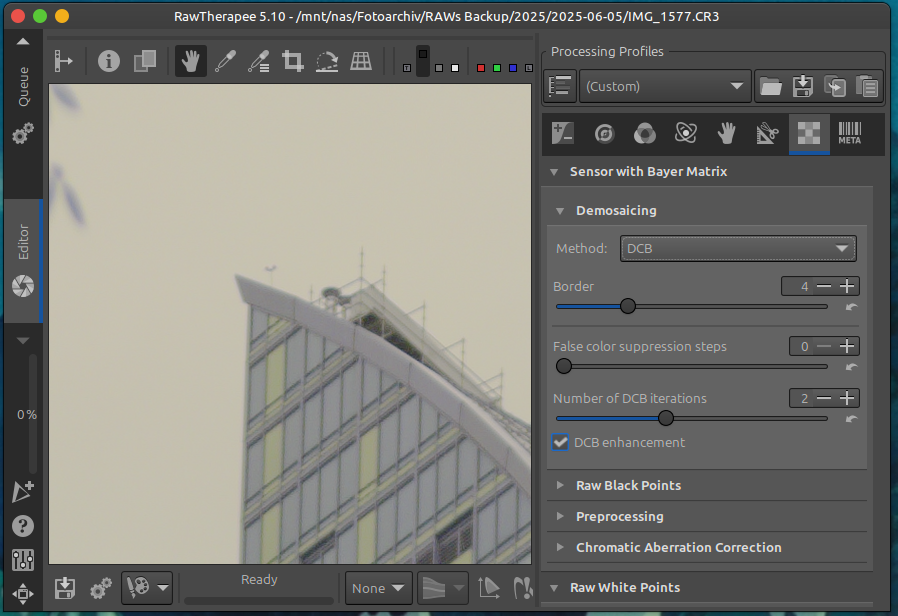 Screenshot of RawTherapee with a picture at 100% and DCB algorithm for demosaicing.