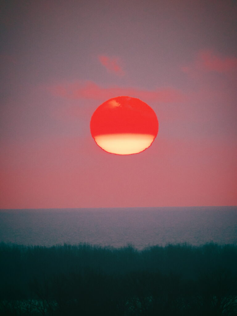 The in-camera JPEG version of the same sunset scene, featuring a distinctly cooler white balance. The sky is a slate-grey blue, making the sun appear as a vibrant, solid red-pink circle. The foreground trees are dark with a blue tint, and the overall texture appears slightly grainy.