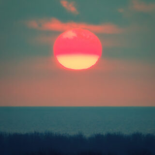 The in-camera JPEG version of the same sunset scene, featuring a distinctly cooler white balance. The sky is a slate-grey blue, making the sun appear as a vibrant, solid magenta-pink circle. The foreground trees are dark with a blue tint, and the overall texture appears slightly grainy.