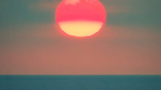 The in-camera JPEG version of the same sunset scene, featuring a distinctly cooler white balance. The sky is a slate-grey blue, making the sun appear as a vibrant, solid magenta-pink circle. The foreground trees are dark with a blue tint, and the overall texture appears slightly grainy.